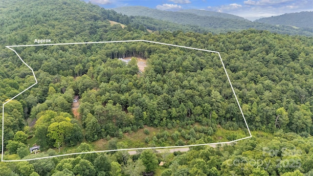3681 Mulatto Mountain Rd, Fleetwood, NC 28626 - photo 47