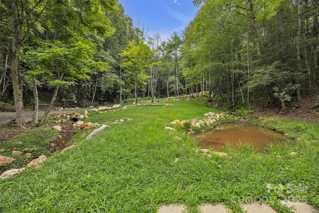 3681 Mulatto Mountain Rd, Fleetwood, NC 28626 - photo 48