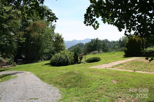429 Biodome Dr, Waynesville, NC 28785 - photo 33