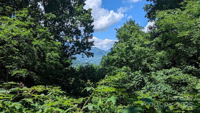 00 Entrata Dr Unit 44, Waynesville, NC 28786 - photo 2