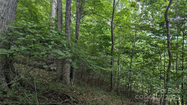 00 Entrata Dr Unit 44, Waynesville, NC 28786 - photo 12