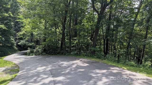 00 Entrata Dr Unit 44, Waynesville, NC 28786 - photo 20