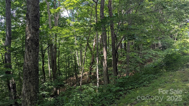 00 Entrata Dr Unit 44, Waynesville, NC 28786 - photo 21