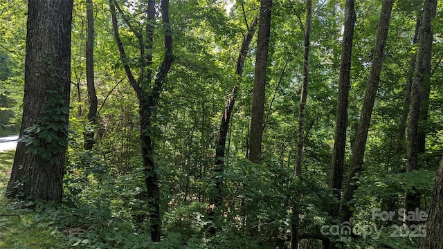 00 Entrata Dr Unit 44, Waynesville, NC 28786 - photo 22