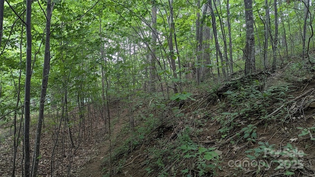 00 Entrata Dr Unit 44, Waynesville, NC 28786 - photo 25