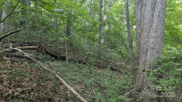 00 Entrata Dr Unit 44, Waynesville, NC 28786 - photo 26