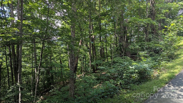 00 Entrata Dr Unit 44, Waynesville, NC 28786 - photo 27