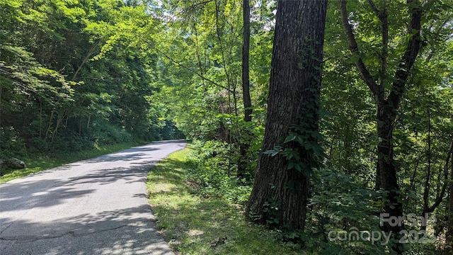 00 Entrata Dr Unit 44, Waynesville, NC 28786 - photo 28