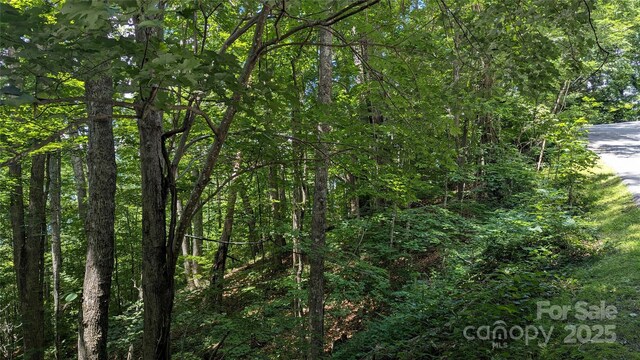 00 Entrata Dr Unit 44, Waynesville, NC 28786 - photo 30