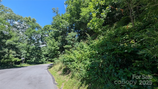 00 Entrata Dr Unit 44, Waynesville, NC 28786 - photo 33