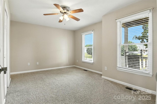 1117 Black Walnut Dr, Hickory, NC 28602 - photo 16