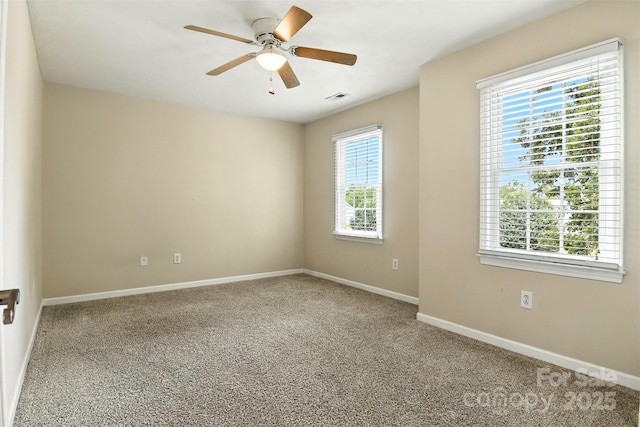 1117 Black Walnut Dr, Hickory, NC 28602 - photo 21