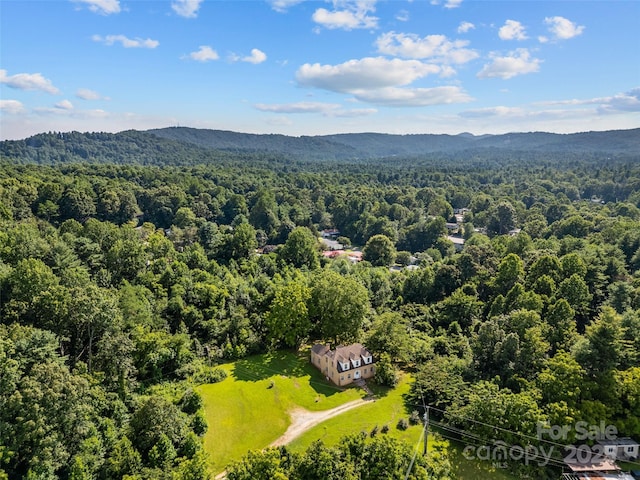 1 Dead End Dr, Flat Rock, NC 28731 - photo 9