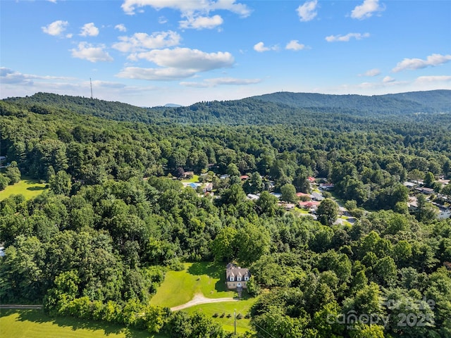 1 Dead End Dr, Flat Rock, NC 28731 - photo 10