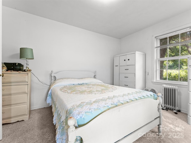 1 Dead End Dr, Flat Rock, NC 28731 - photo 19