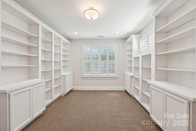45528 Misty Bluff Dr, Charlotte, NC 28278 - photo 35