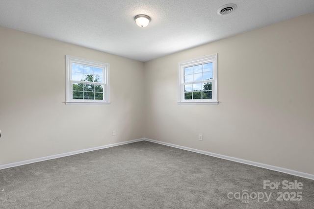 204 Shannonbrook Dr, Newton, NC 28658 - photo 10