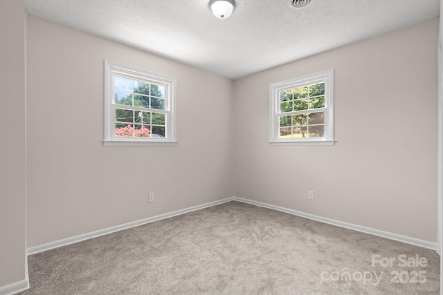 204 Shannonbrook Dr, Newton, NC 28658 - photo 14