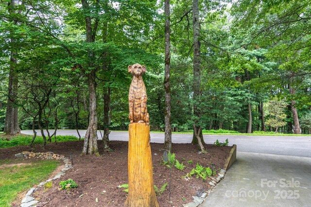 136 Fawn Ln Unit 10, Roaring Gap, NC 28668 - photo 33