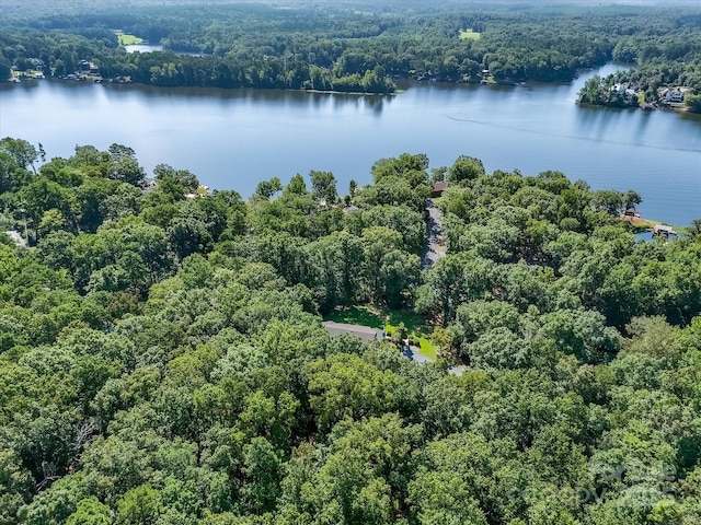23353 Lake Tillery Rd, Albemarle, NC 28001 - photo 45