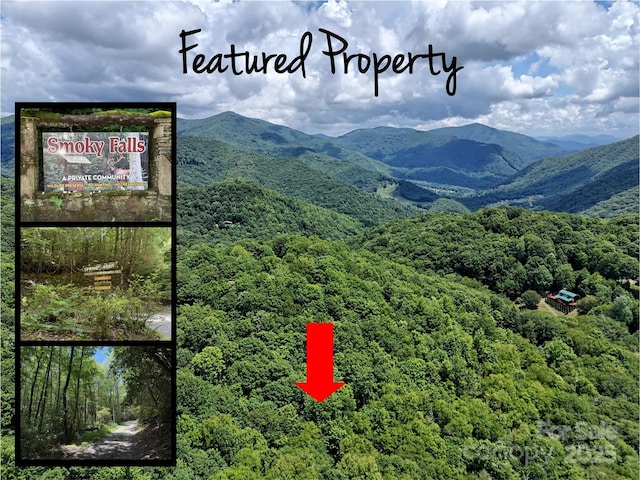 LOT67 Spring Dr, Maggie Valley, NC 28751 - photo 1
