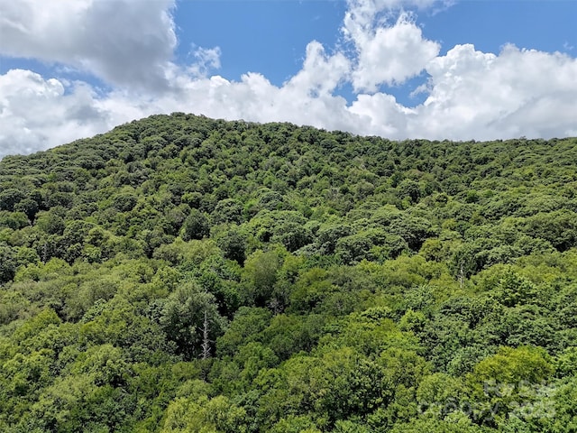 LOT67 Spring Dr, Maggie Valley, NC 28751 - photo 5