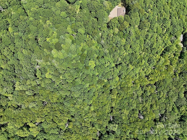 LOT67 Spring Dr, Maggie Valley, NC 28751 - photo 6