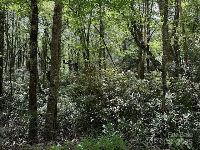 LOT67 Spring Dr, Maggie Valley, NC 28751 - photo 7