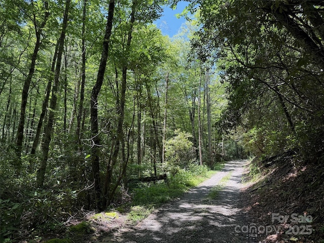 LOT67 Spring Dr, Maggie Valley, NC 28751 - photo 8