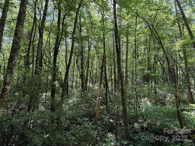 LOT67 Spring Dr, Maggie Valley, NC 28751 - photo 11