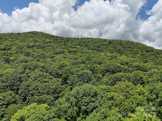 LOT67 Spring Dr, Maggie Valley, NC 28751 - photo 12
