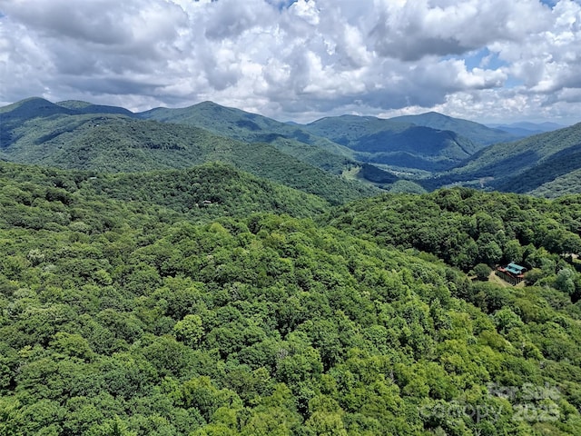 LOT67 Spring Dr, Maggie Valley, NC 28751 - photo 13