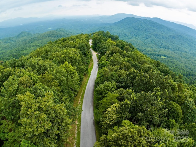 99999 Cliffledge Trl Unit 29, Black Mountain, NC 28711 - photo 1