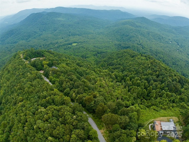 99999 Cliffledge Trl Unit 29, Black Mountain, NC 28711 - photo 2