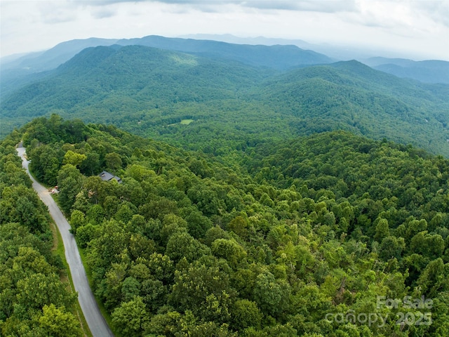 99999 Cliffledge Trl Unit 29, Black Mountain, NC 28711 - photo 3