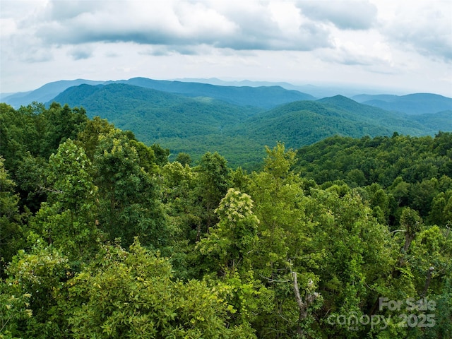 99999 Cliffledge Trl Unit 29, Black Mountain, NC 28711 - photo 4