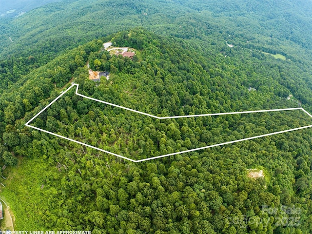 99999 Cliffledge Trl Unit 29, Black Mountain, NC 28711 - photo 5