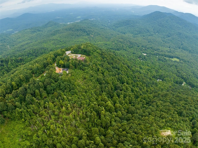 99999 Cliffledge Trl Unit 29, Black Mountain, NC 28711 - photo 6
