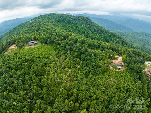99999 Cliffledge Trl Unit 29, Black Mountain, NC 28711 - photo 7