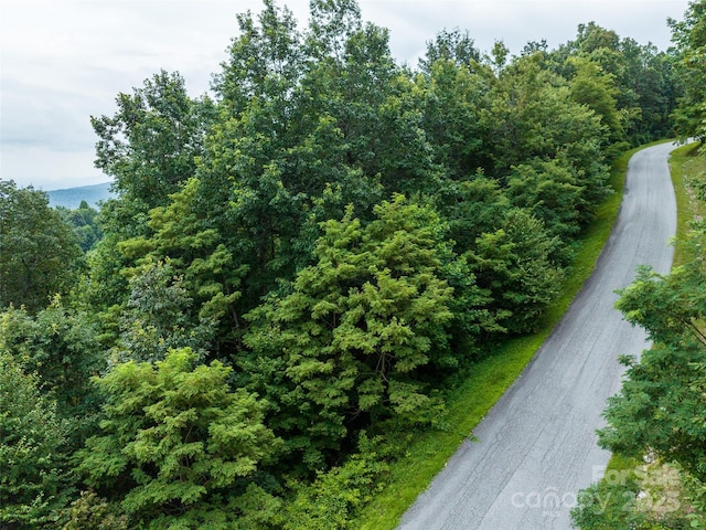 99999 Cliffledge Trl Unit 29, Black Mountain, NC 28711 - photo 8