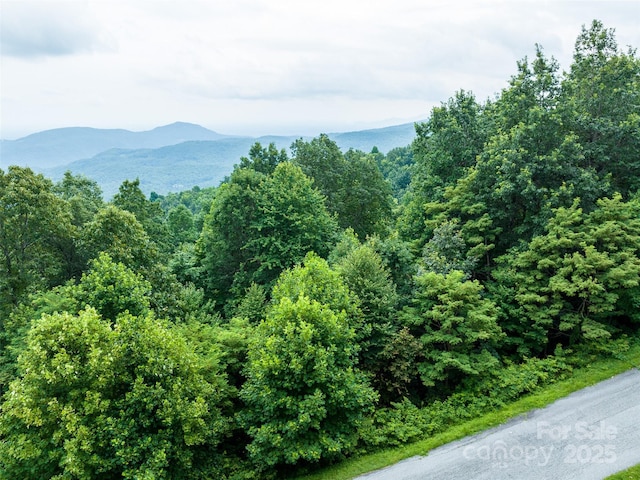 99999 Cliffledge Trl Unit 29, Black Mountain, NC 28711 - photo 9