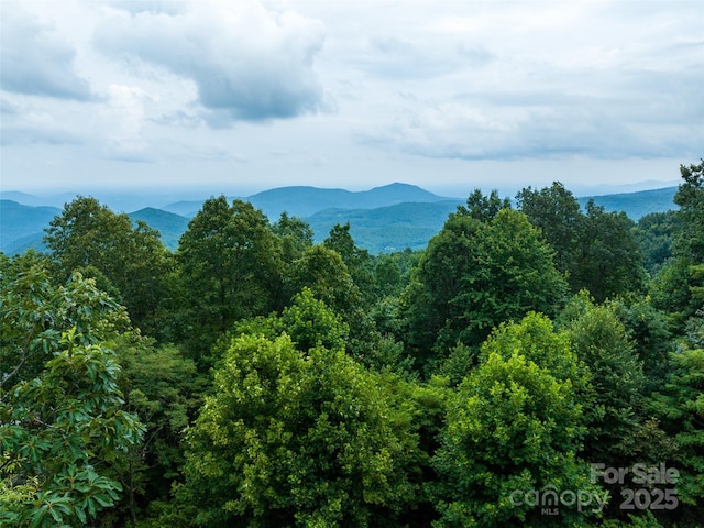 99999 Cliffledge Trl Unit 29, Black Mountain, NC 28711 - photo 10
