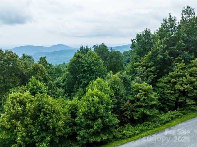 99999 Cliffledge Trl Unit 29, Black Mountain, NC 28711 - photo 11