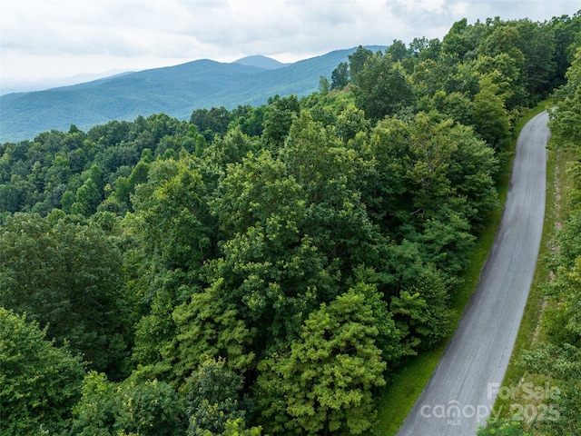 99999 Cliffledge Trl Unit 29, Black Mountain, NC 28711 - photo 12