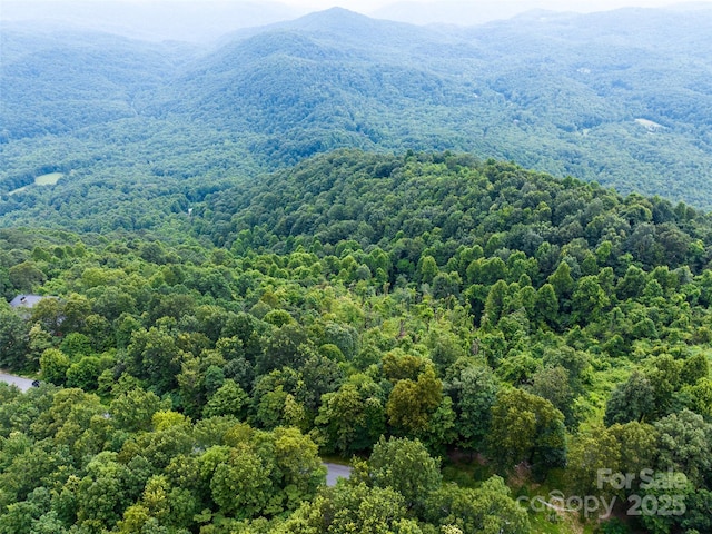 99999 Cliffledge Trl Unit 29, Black Mountain, NC 28711 - photo 13