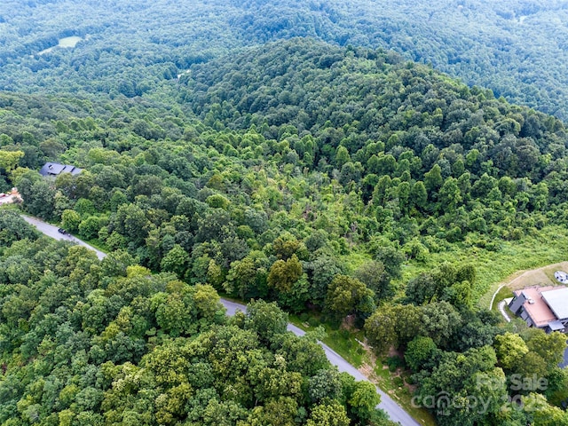 99999 Cliffledge Trl Unit 29, Black Mountain, NC 28711 - photo 14