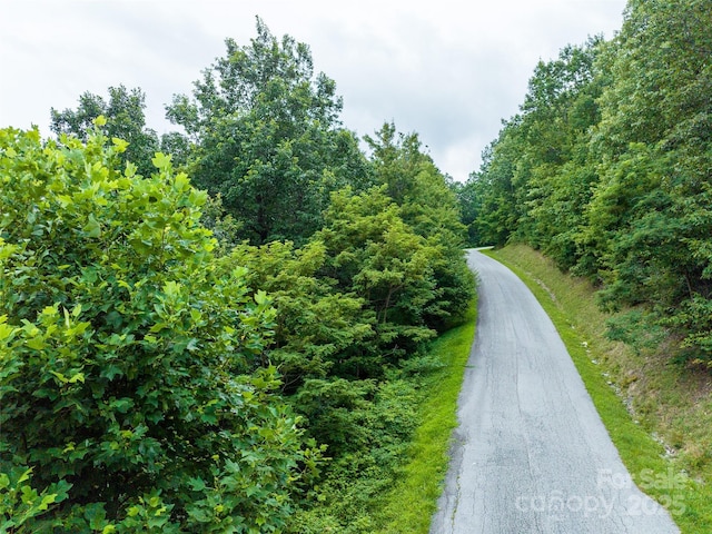 99999 Cliffledge Trl Unit 29, Black Mountain, NC 28711 - photo 15