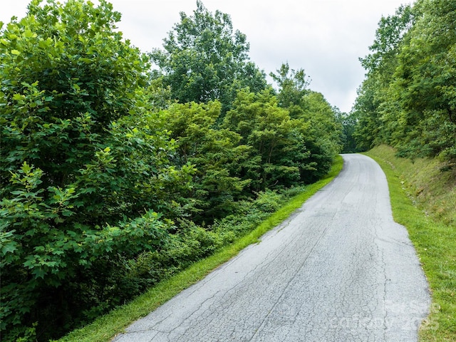 99999 Cliffledge Trl Unit 29, Black Mountain, NC 28711 - photo 16