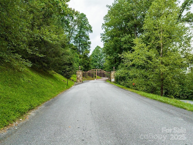 99999 Cliffledge Trl Unit 29, Black Mountain, NC 28711 - photo 18