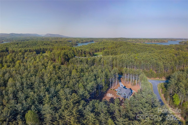 92 Rusty Hook Rd, Nebo, NC 28761 - photo 34